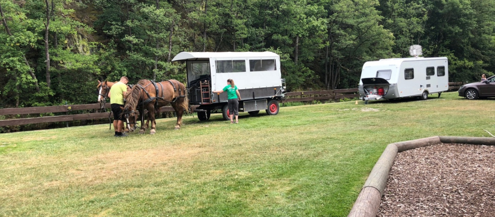 Camp Appointments | Camping with horse | Camp Hammer, Simmerath