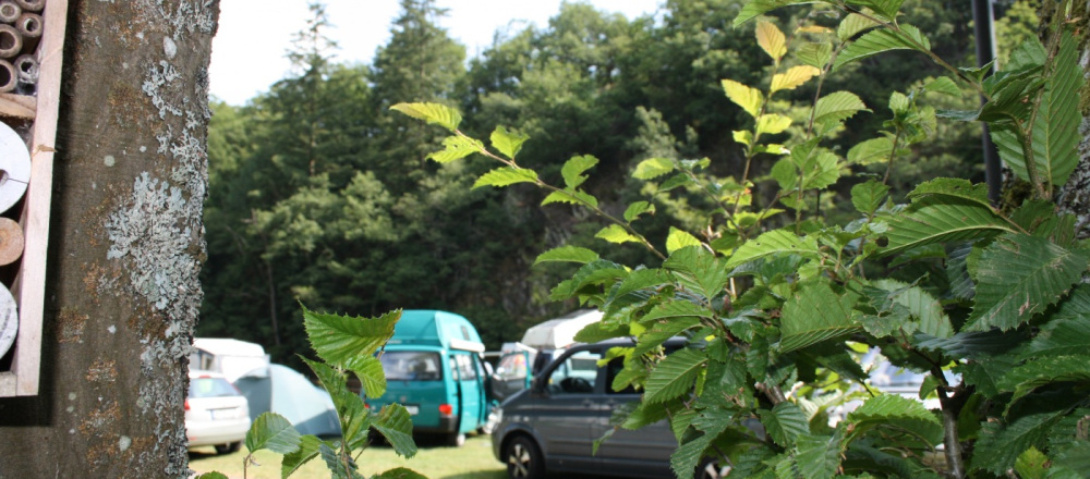 Camping  | Lage / Örtlichkeit | Camp Hammer, Simmerath